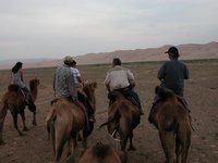 Экскурсия на верблюдах.